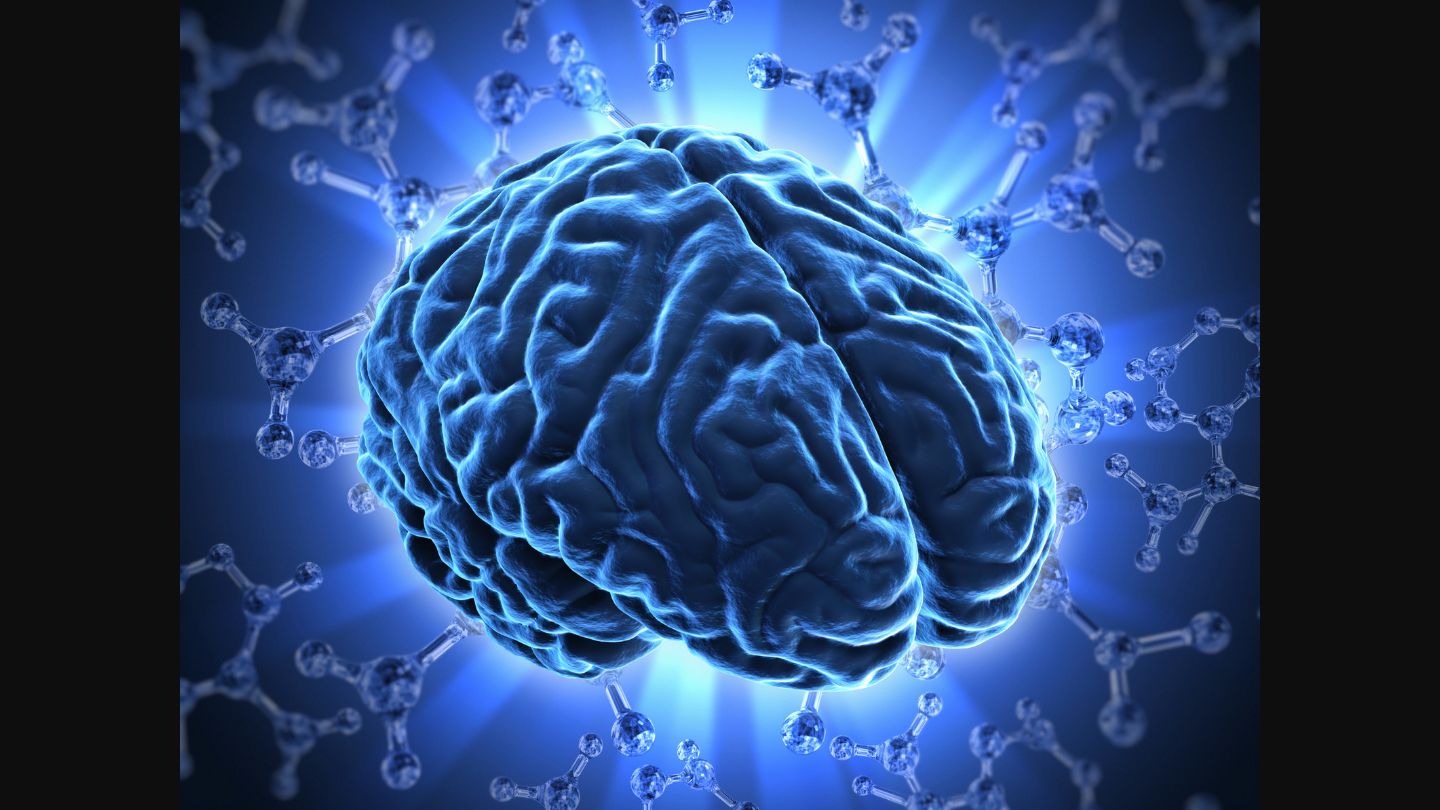 Brain with neural connections representing mental health and cognitive wellness